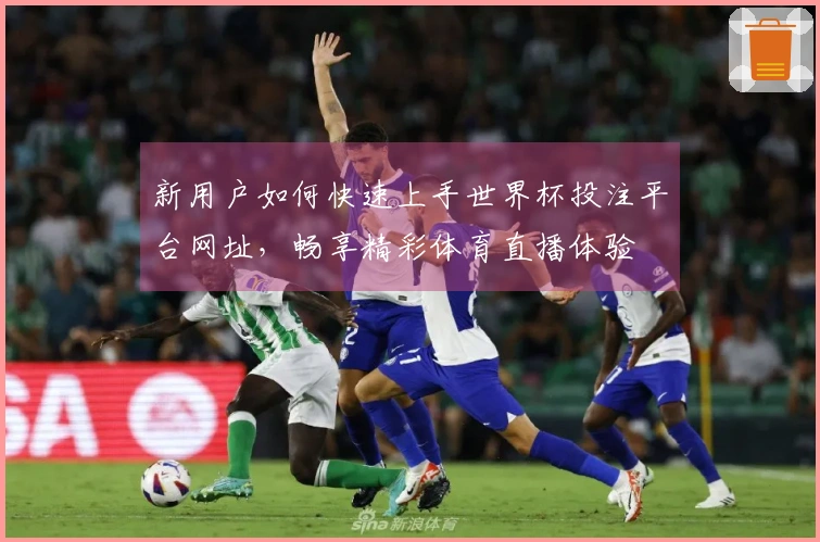 新用户如何快速上手世界杯投注平台网址，畅享精彩体育直播体验