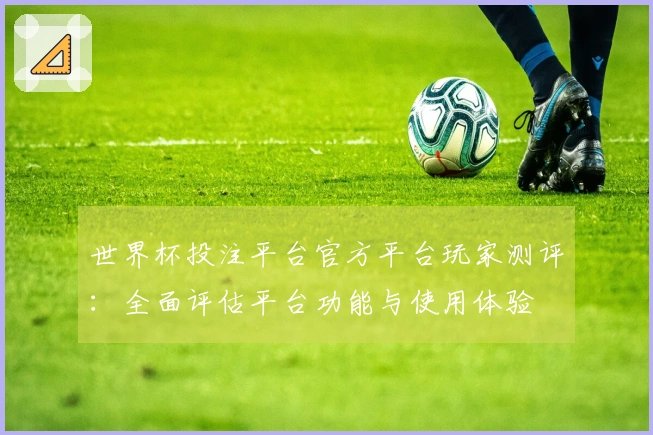 世界杯投注平台官方平台玩家测评：全面评估平台功能与使用体验
