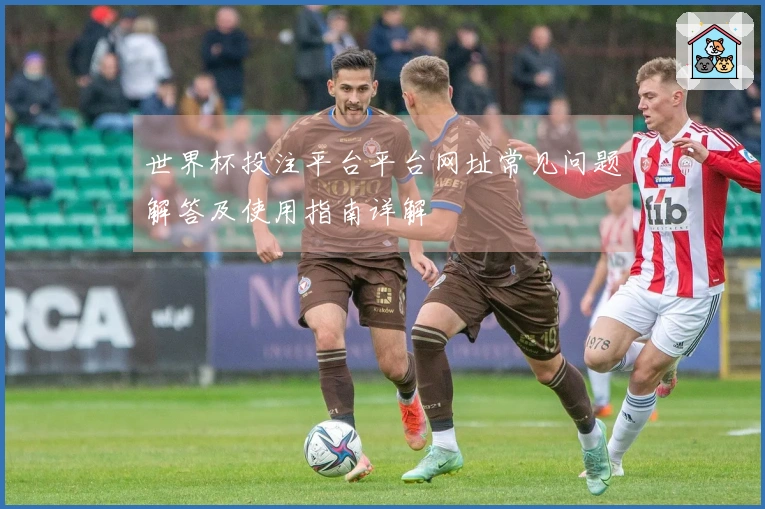 世界杯投注平台平台网址常见问题解答及使用指南详解