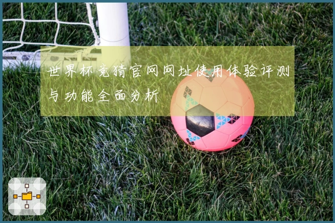 世界杯竞猜官网网址使用体验评测与功能全面分析