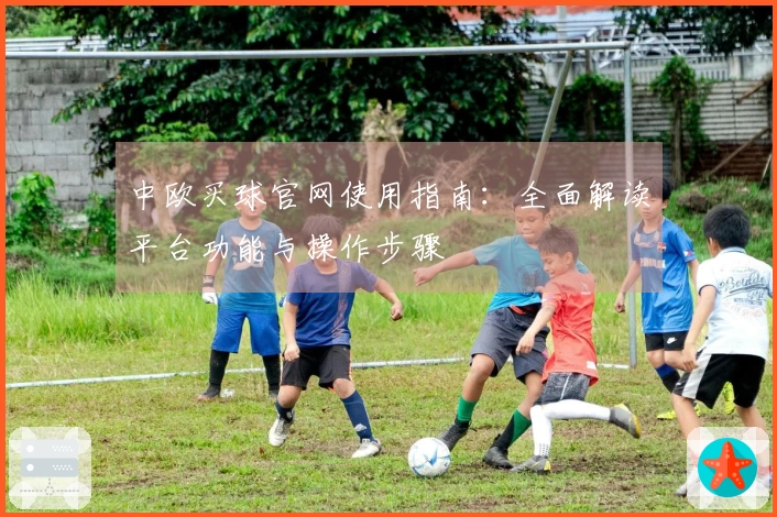 中欧买球官网使用指南：全面解读平台功能与操作步骤