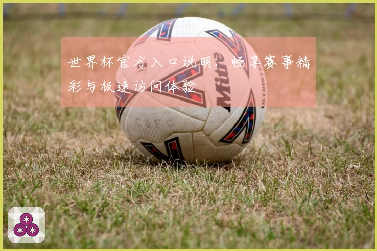 世界杯官方入口说明：畅享赛事精彩与极速访问体验