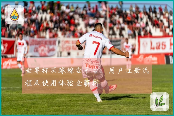 世界杯买球综合平台：用户注册流程及使用体验全解析