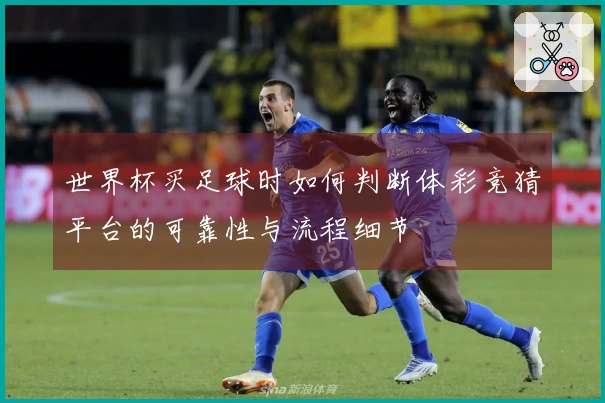 世界杯买足球时如何判断体彩竞猜平台的可靠性与流程细节