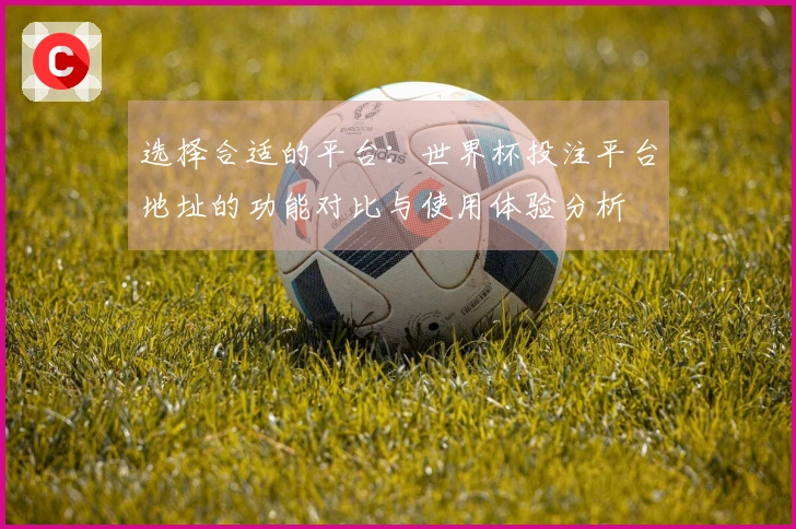 选择合适的平台：世界杯投注平台地址的功能对比与使用体验分析