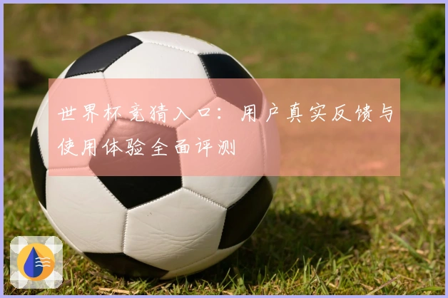世界杯竞猜入口：用户真实反馈与使用体验全面评测