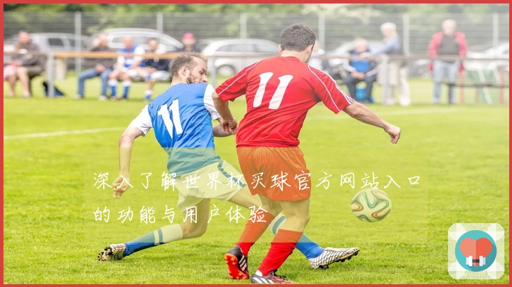 深入了解世界杯买球官方网站入口的功能与用户体验