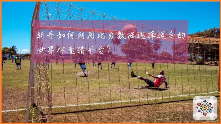 新手如何利用比分数据选择适合的世界杯竞猜平台？