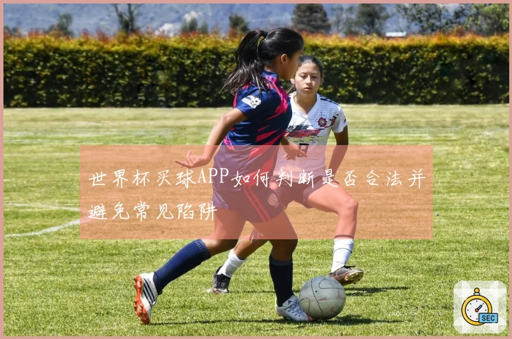 世界杯买球APP如何判断是否合法并避免常见陷阱