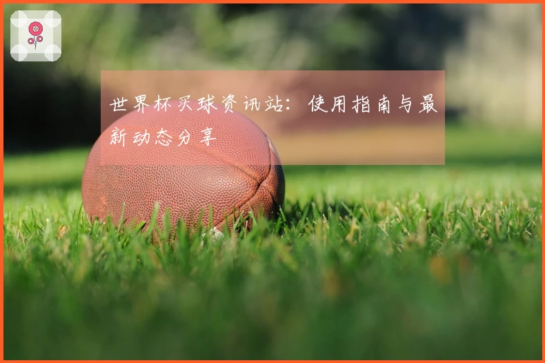 世界杯买球资讯站：使用指南与最新动态分享