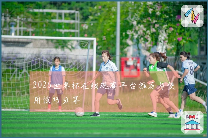 2026世界杯在线观赛平台推荐与使用技巧分享