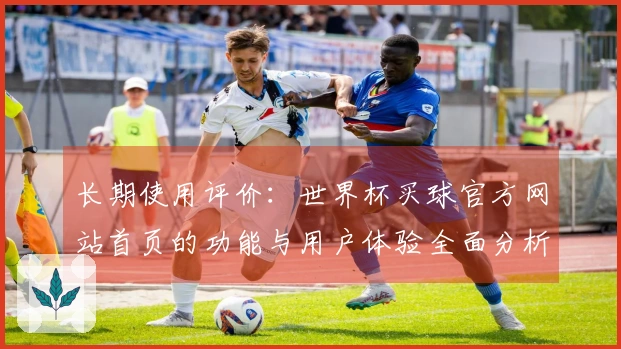 长期使用评价：世界杯买球官方网站首页的功能与用户体验全面分析