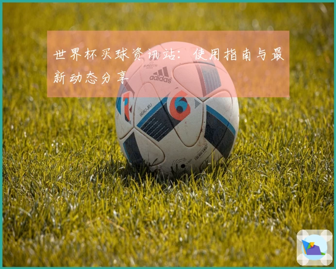 世界杯买球资讯站:使用指南与最新动态分享